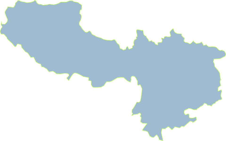 全腦開發(fā)西南校區(qū)數量